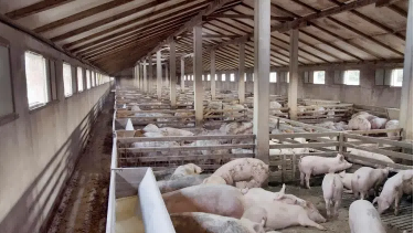 養(yǎng)殖污水處理設(shè)備