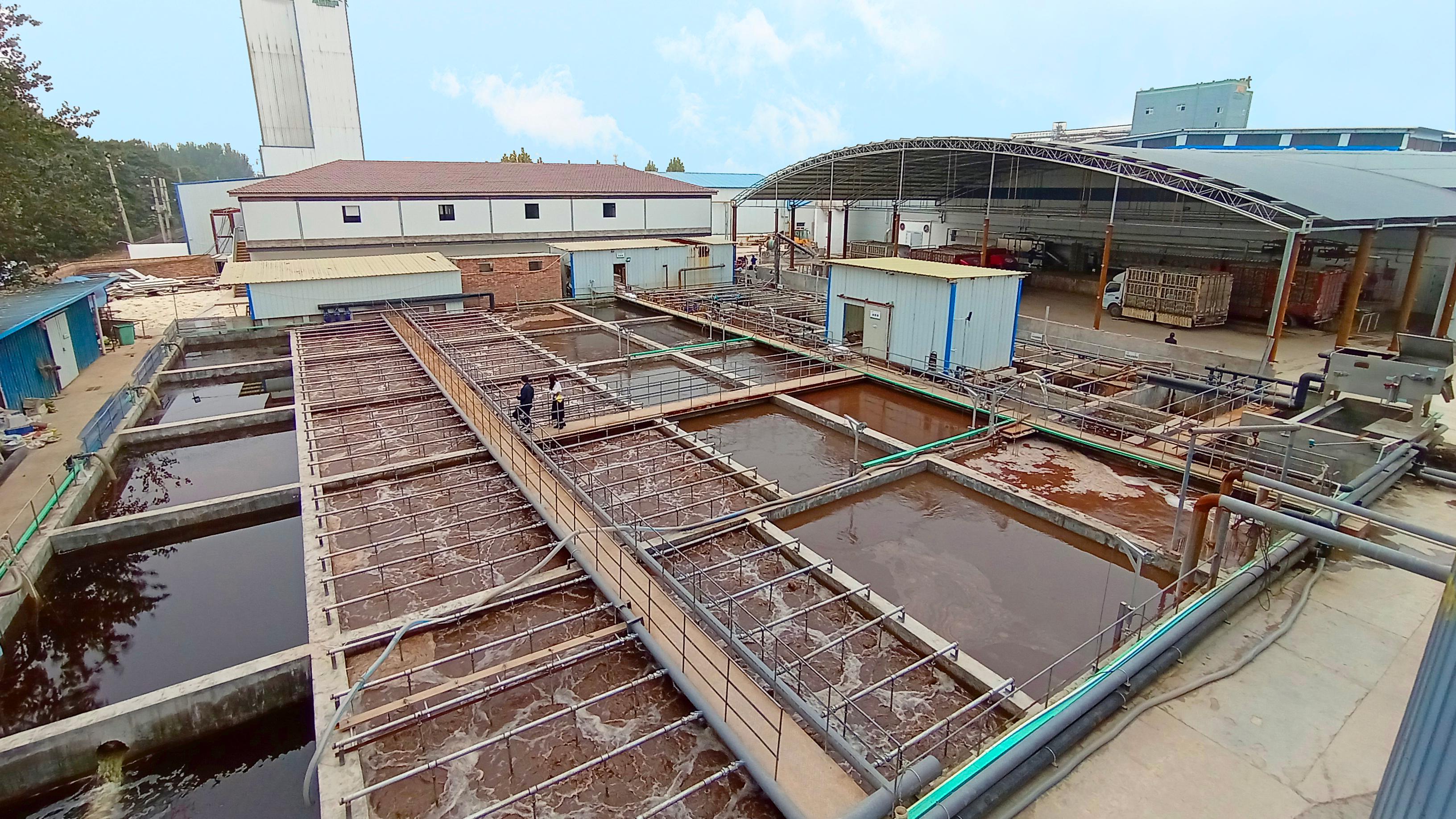 屠宰污水處理設(shè)備